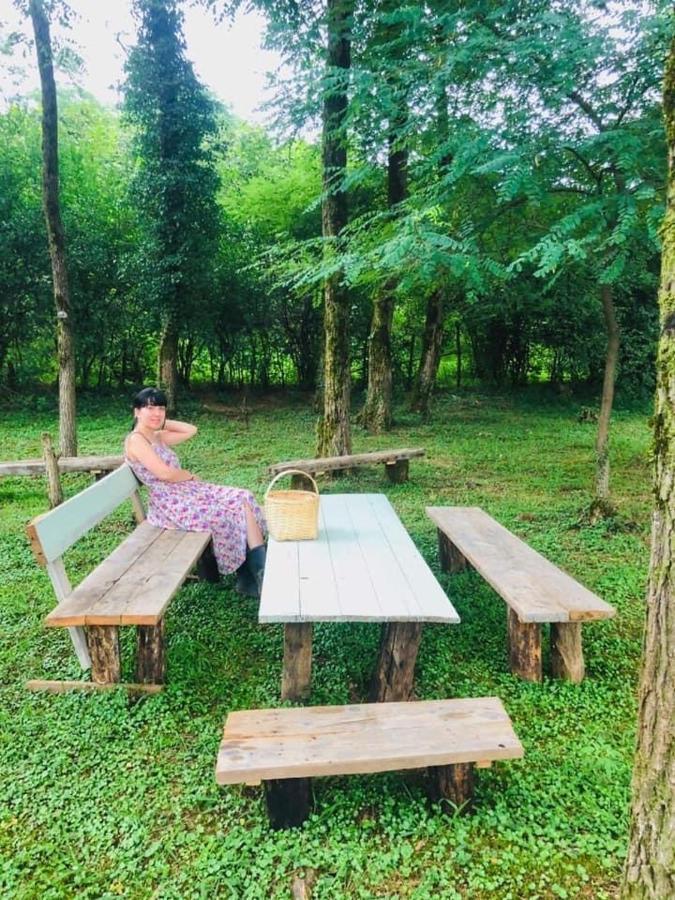 Martv'Elle Boutique Guesthouse Martvili Ngoại thất bức ảnh